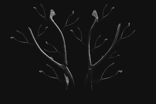 FRAGMENTS OF MEMORY von STRUUNT, Fotografie kaufen auf Singulart