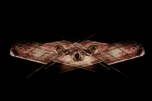 THE WINGED GUARDIAN di STRUUNT, Fotografia in vendita su Singulart