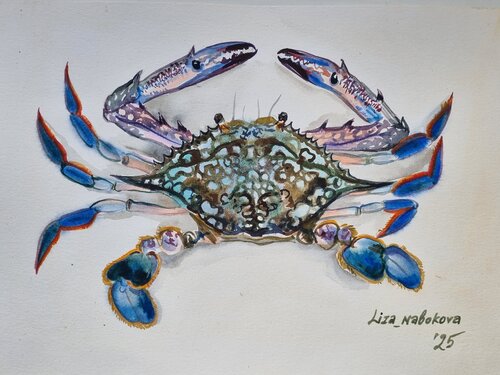 Dotty crab von Elizaveta Nabokova, Malerei kaufen auf Singulart
