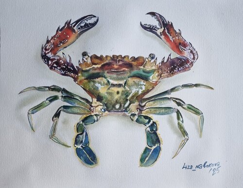 Red crab von Elizaveta Nabokova, Malerei kaufen auf Singulart