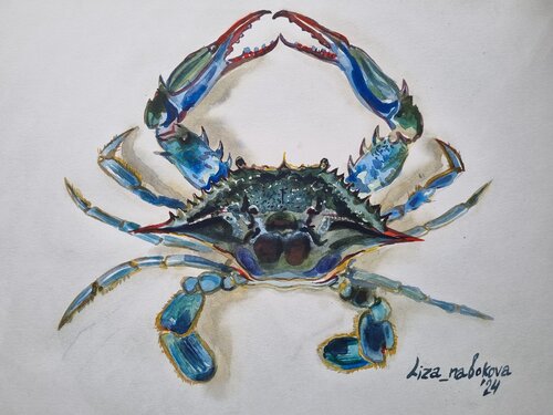 Blue crab von Elizaveta Nabokova, Malerei kaufen auf Singulart