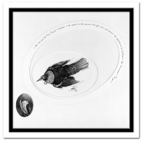 The Tui and the Flax Flower - An appeal to multiple senses von Ian Anderson, Zeichnungen kaufen auf Singulart