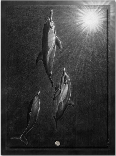 The Dolphin’s Pleasure - In the Deep van Ian Anderson, Tekening te koop op Singulart