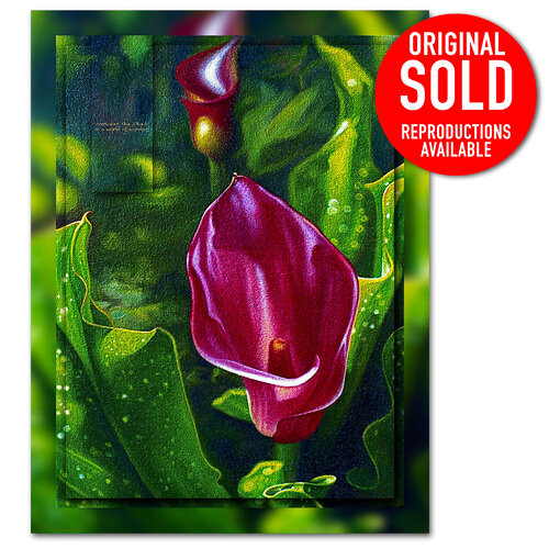 Lily From The Valley 4 - Red Cala Lily - Acrylic Enhanced Giclée Print on Archival Canvas - Limited Edition von Ian Anderson, Druck kaufen auf Singulart