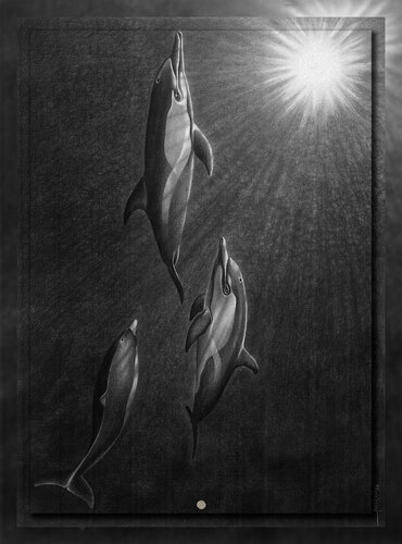 Dolphins’ Pleasure In the Deep – Pencil Enhanced Giclée Print on Archival Canvas - Limited Edition de Ian Anderson, Impresión a la venta en Singulart