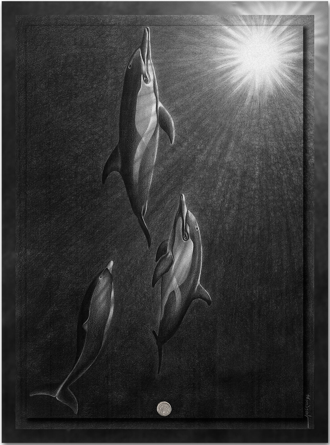 The Dolphin’s Pleasure - In the Deep Ian Anderson