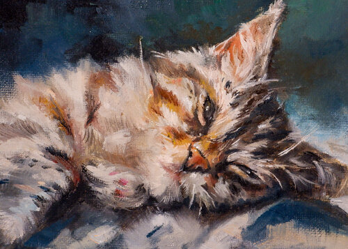The sleeping cat van Diana Ivashkevich, Schilderij te koop op Singulart
