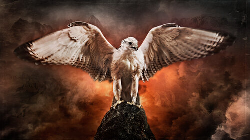 "Phoenix Rising", 2023 di Tariq Dajani, Fotografia in vendita su Singulart