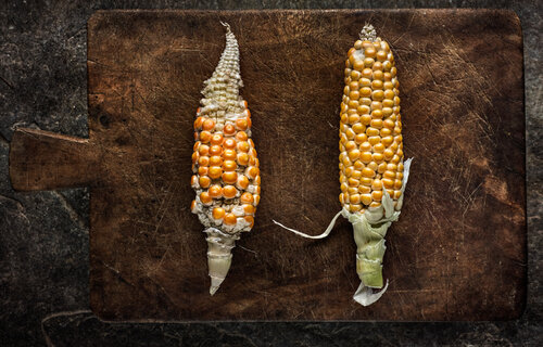 "Maiz / Corn”, 2022 di Tariq Dajani, Stampa in vendita su Singulart