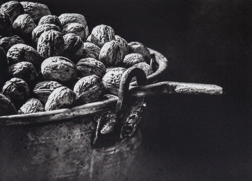 "Walnuts" (photogravure/photo-etching) von Tariq Dajani, Druck kaufen auf Singulart
