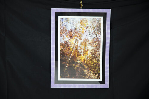 Autunno by Paola Chiappini, 사진 for Sale on Singulart