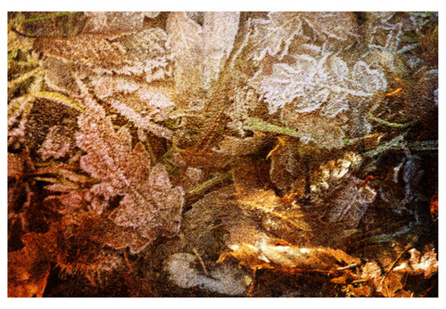 Natura morta su ghiaccio by Paola Chiappini, 사진 for Sale on Singulart
