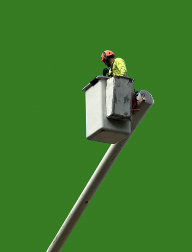Men at Work C van CEKI CELARDIN, Fotografie te koop op Singulart