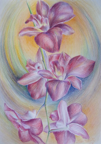Orchids in the Flow of Forms by Olga Milova, 소묘 for Sale on Singulart