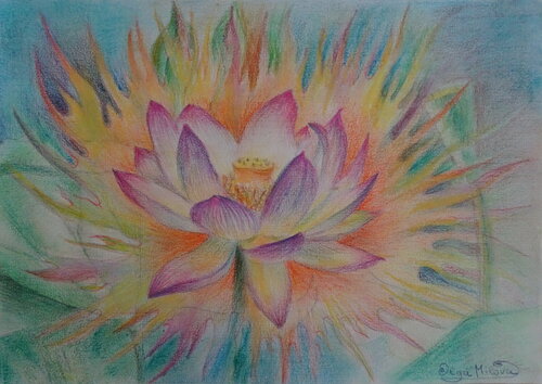 Lotus Flower – Light of Seilens by Olga Milova, 소묘 for Sale on Singulart
