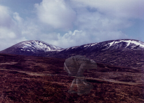 Peatcutter by Moorland Productions (Kenneth Hay / Seetha A), Print for Sale on Singulart