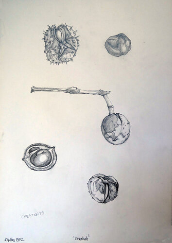Chestnuts by Moorland Productions (Kenneth Hay / Seetha A), 소묘 for Sale on Singulart