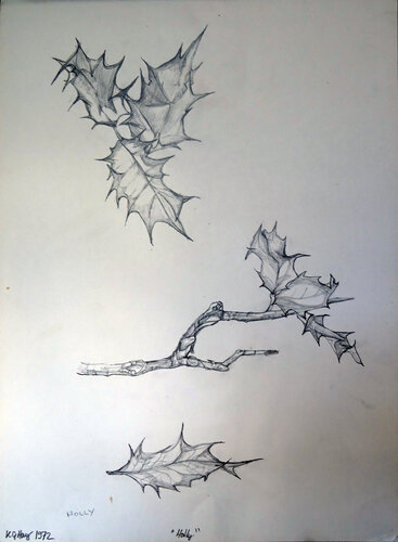 Holly by Moorland Productions (Kenneth Hay / Seetha A), 소묘 for Sale on Singulart