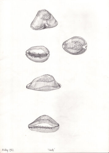 Shells par Moorland Productions (Kenneth Hay / Seetha A), Dessin en vente sur Singulart