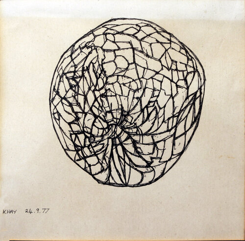 Articulated Surfaces von Moorland Productions (Kenneth Hay / Seetha A), Zeichnungen kaufen auf Singulart