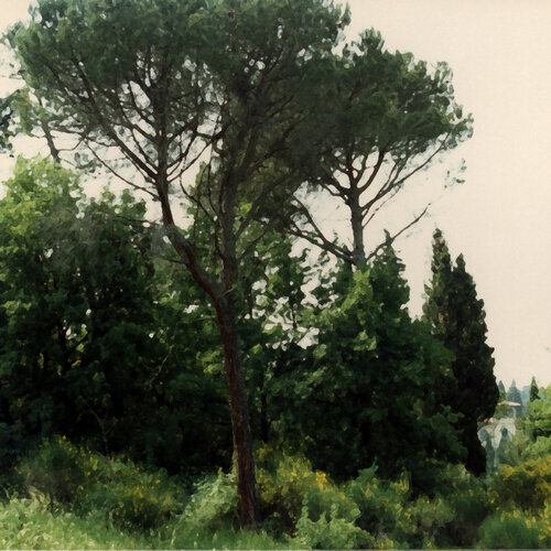 Settignano, Italy par Moorland Productions (Kenneth Hay / Seetha A), Édition en vente sur Singulart