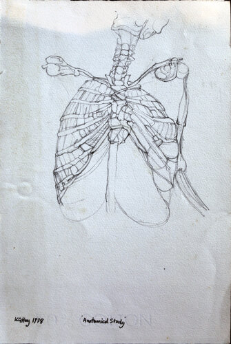 Anatomical Study von Moorland Productions (Kenneth Hay / Seetha A), Zeichnungen kaufen auf Singulart