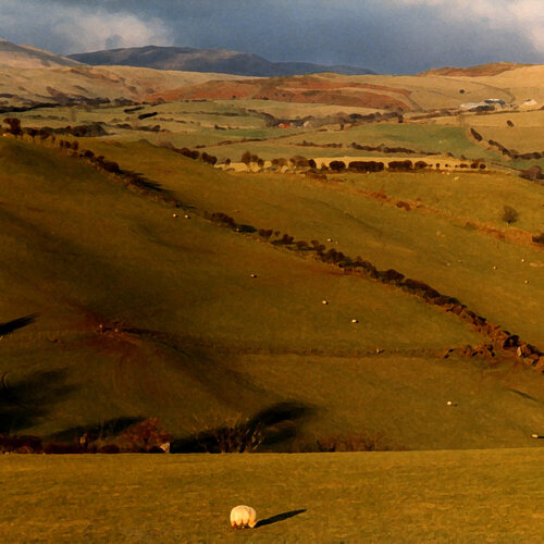 Dol-y-Bont, Wales de Moorland Productions (Kenneth Hay / Seetha A), Impresión a la venta en Singulart