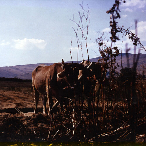 Puigcerda, Spain de Moorland Productions (Kenneth Hay / Seetha A), Impresión a la venta en Singulart