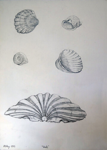 Coquilles de St Jacques by Moorland Productions (Kenneth Hay / Seetha A), Drawing for Sale on Singulart