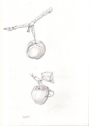Apples by Moorland Productions (Kenneth Hay / Seetha A), 소묘 for Sale on Singulart