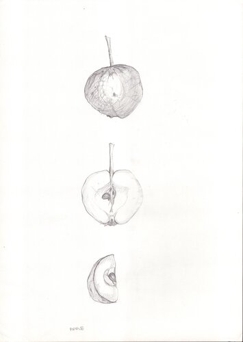 Apple by Moorland Productions (Kenneth Hay / Seetha A), 소묘 for Sale on Singulart