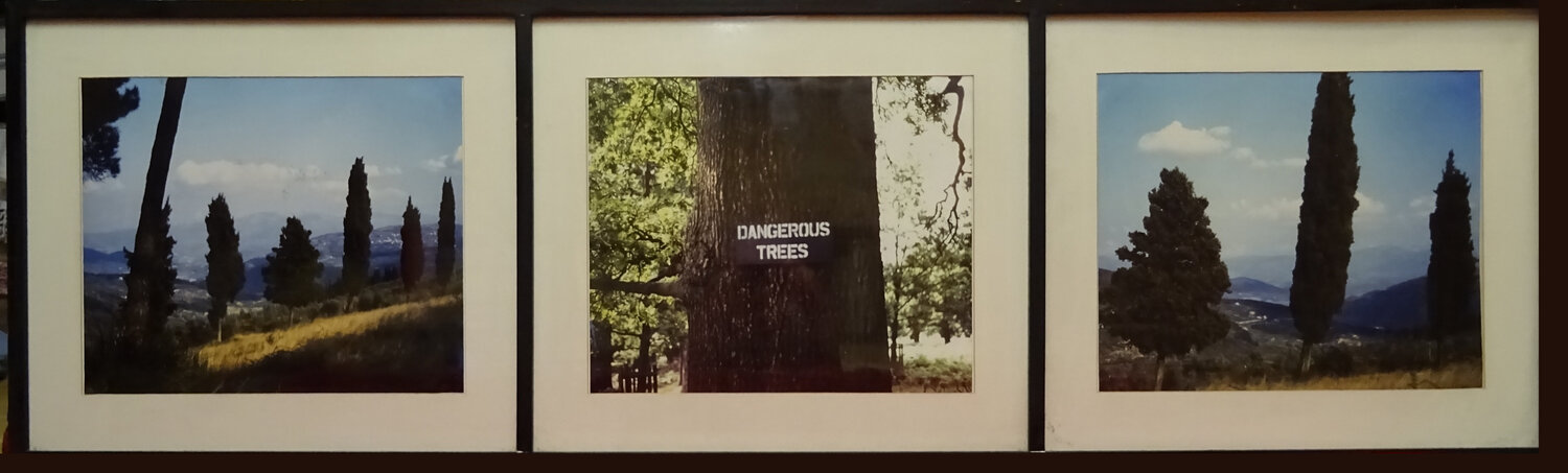 Dangerous Trees - Triptych Moorland Productions (Kenneth Hay / Seetha A) Fotografie zu verkaufen