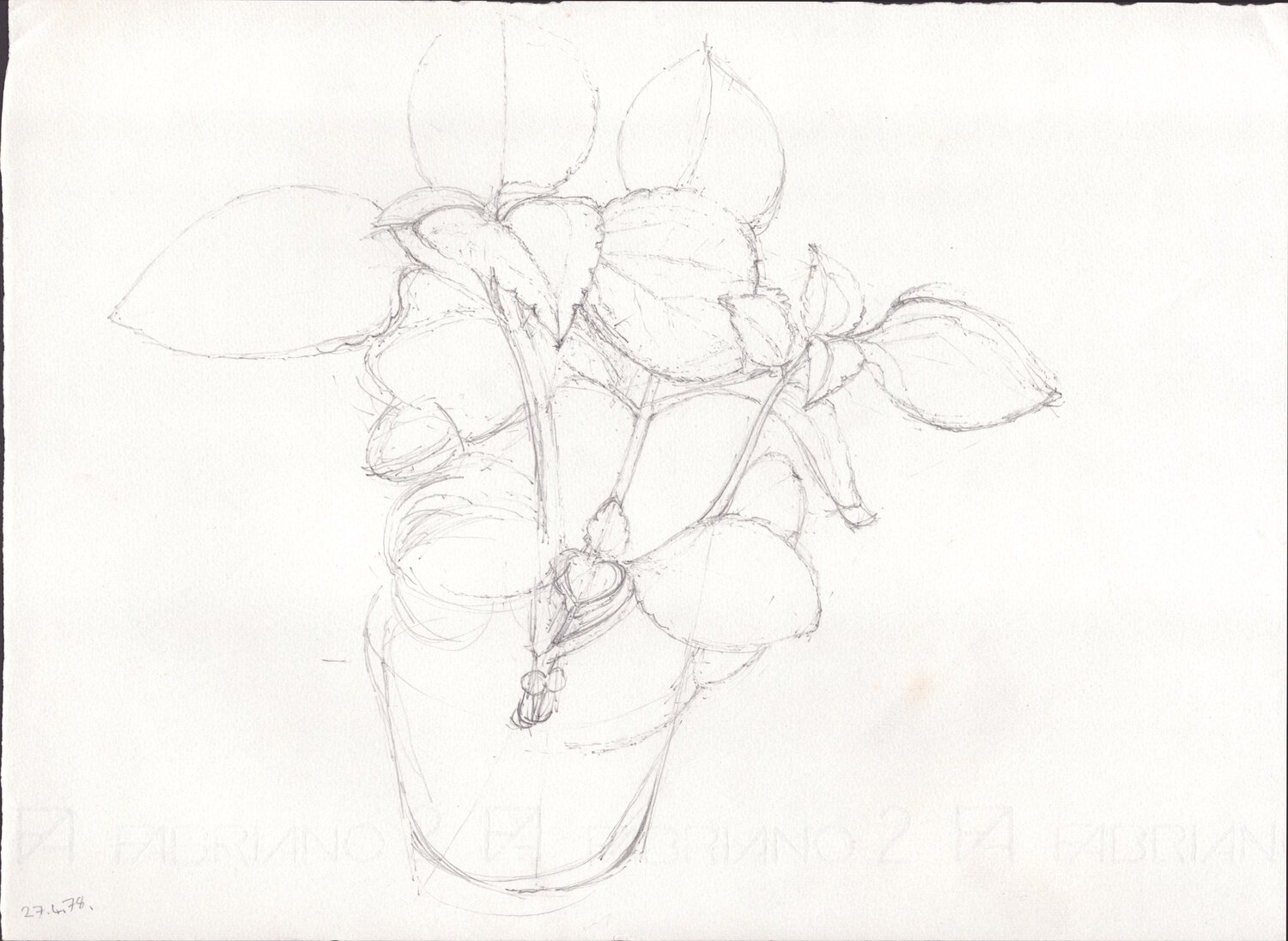Pot Plant Moorland Productions (Kenneth Hay / Seetha A) Disegno in vendita