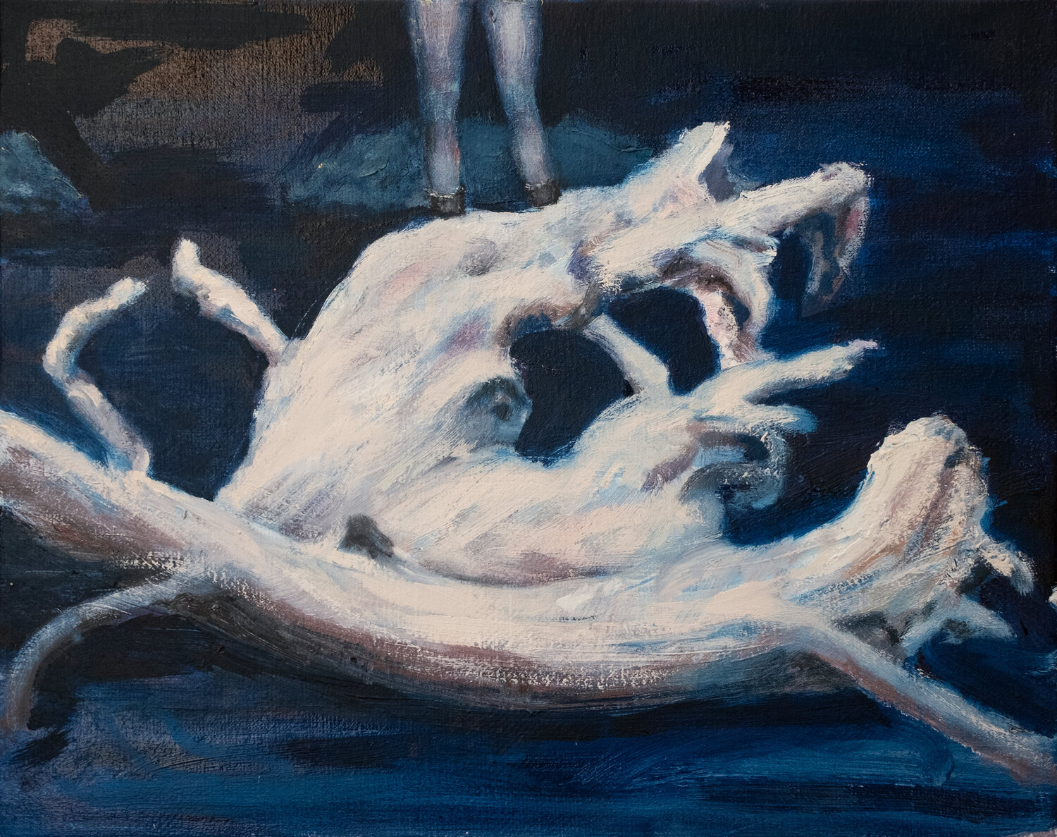 Radici 2 Elidon Mucaj