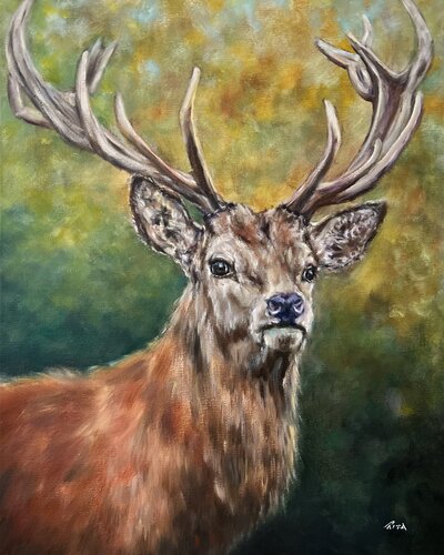 The Noble Stag van Rita Hsu, Schilderij te koop op Singulart