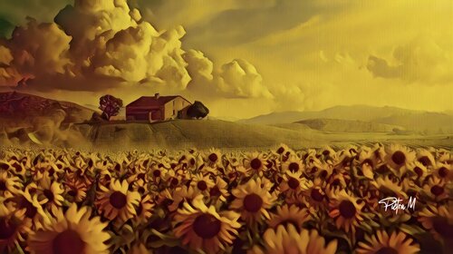 “Les Tournesols de l’Extase van Piétra M (Martine Poli), Digitaal te koop op Singulart