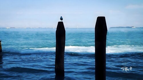 Les poteaux en mer – « Le guetteur » von Piétra M (Martine Poli), Fotografie kaufen auf Singulart