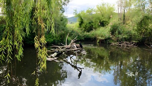 Le veilleur di Piétra M (Martine Poli), Fotografia in vendita su Singulart