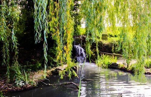 Sous les saules di Piétra M (Martine Poli), Fotografia in vendita su Singulart