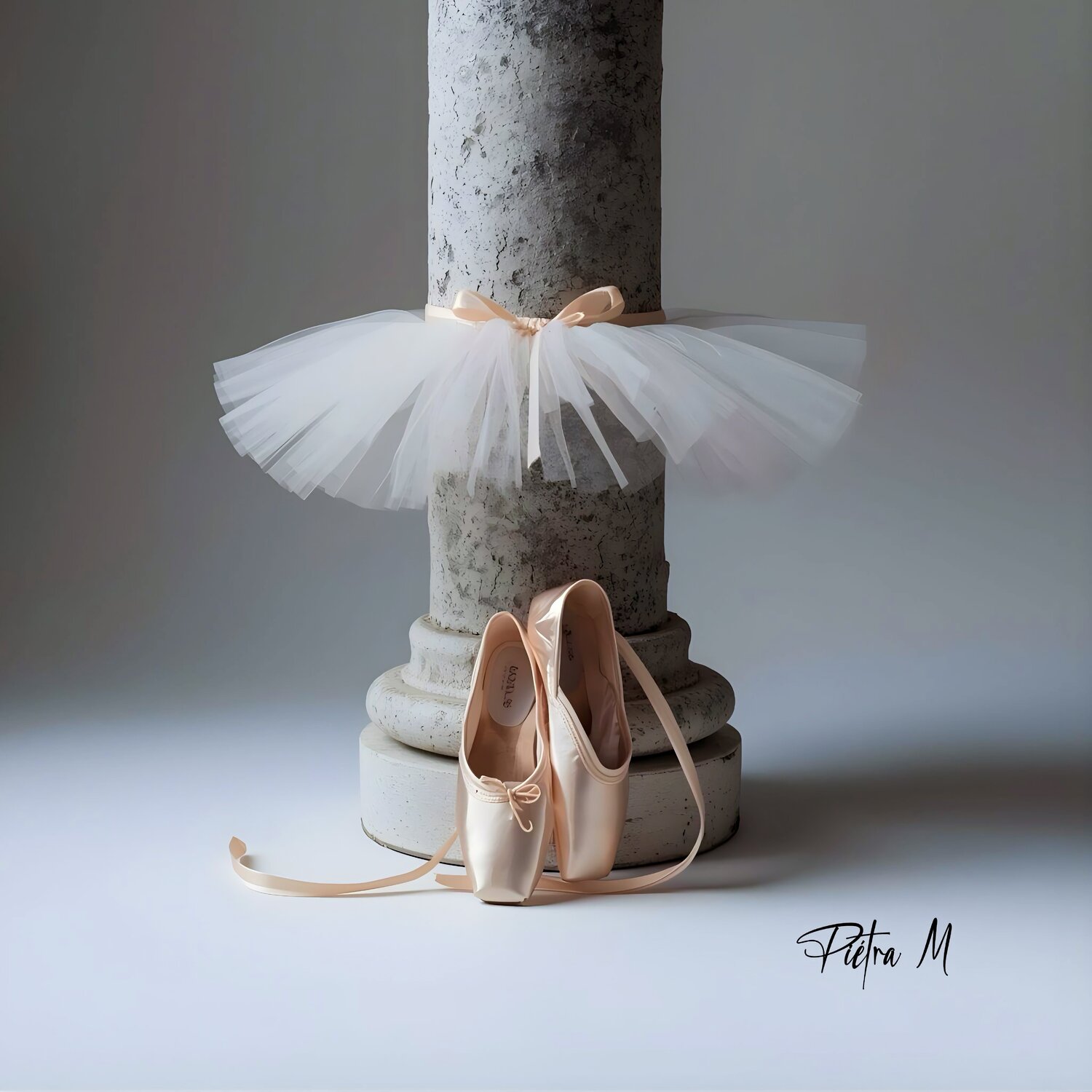 “Tutu suspendu — Mur en offrande” Piétra M (Martine Poli)