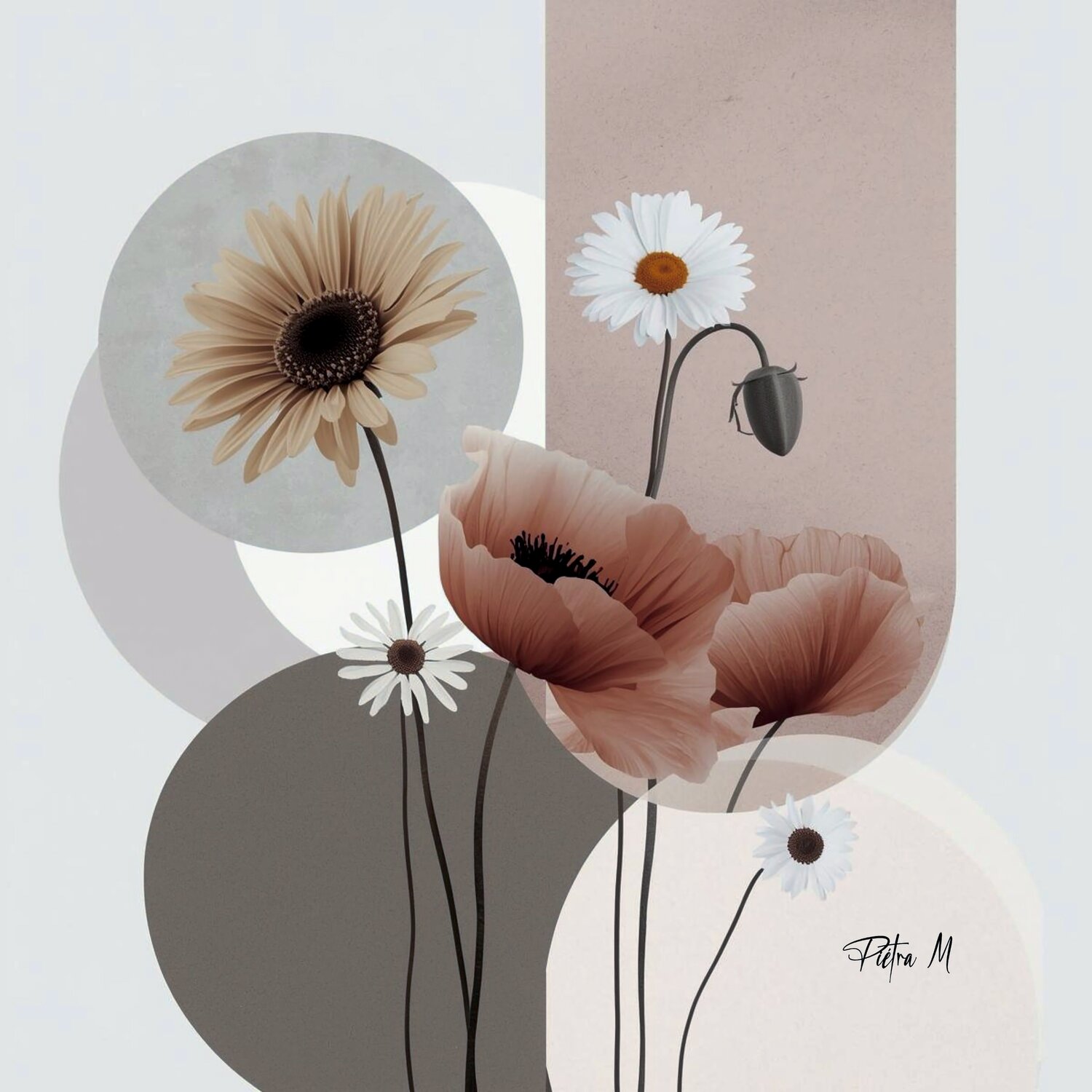 Les Fleurs du Plan Piétra M (Martine Poli)