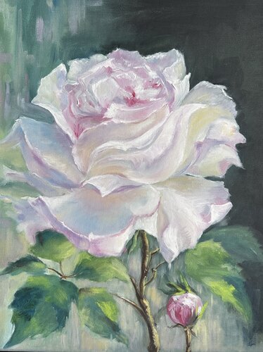 Rose in Morning Light van Anna Parhimovitš, Schilderij te koop op Singulart