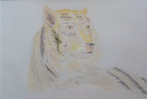 Wilde Natur de Guenther Butscher, Dibujo a la venta en Singulart