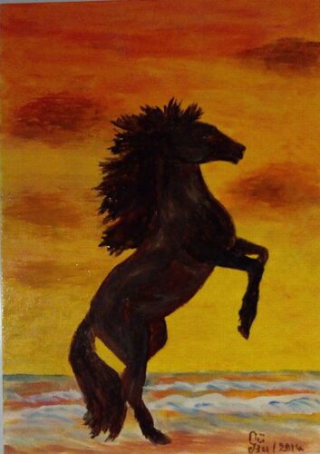 Wild Horse van Guenther Butscher, Schilderij te koop op Singulart
