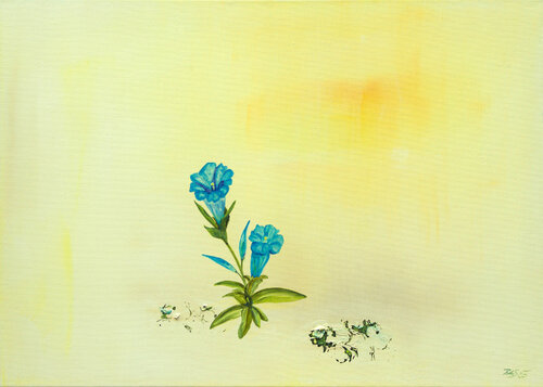 Enzian von Regina Ahlgrimm-Siess, Malerei kaufen auf Singulart