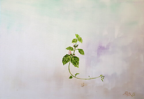 Taubnessel von Regina Ahlgrimm-Siess, Malerei kaufen auf Singulart