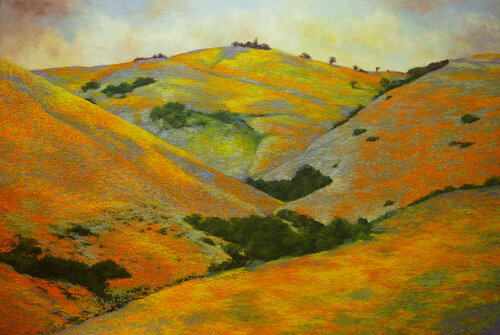 Gorman Series: Flowering Hills VII par Merrilyn Duzy, Peinture en vente sur Singulart