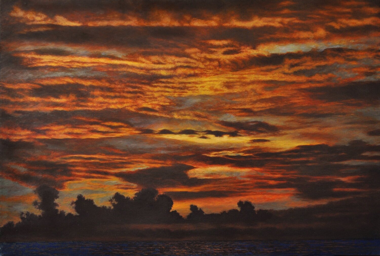 Water in the Sky: Florida Merrilyn Duzy