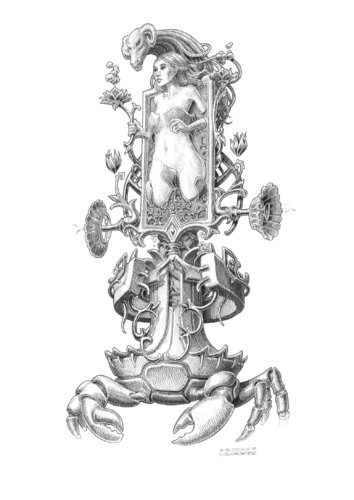 Crabe support à la naissance de Vénus van Régis Bezannier, Tekening te koop op Singulart