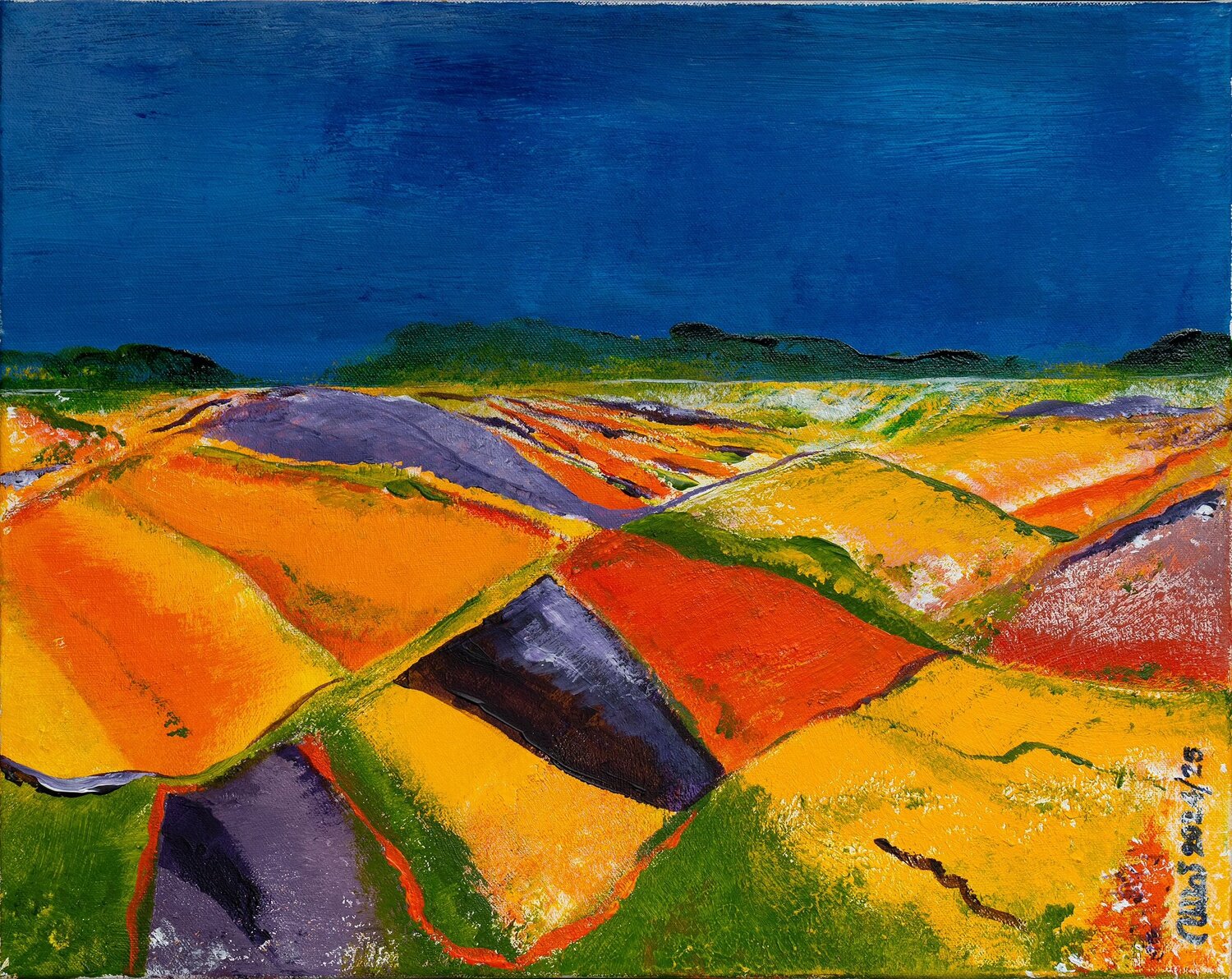 Dream Fields Ulla Plougmand